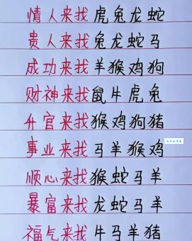 一手儿打一生肖，答案是什么生肖？