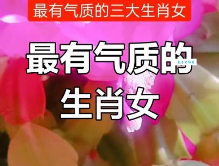 美女披红挂绿找老公，这个生肖太有趣了！