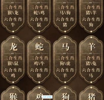 声誉大振代表什么生肖？解析生肖与声誉的关系