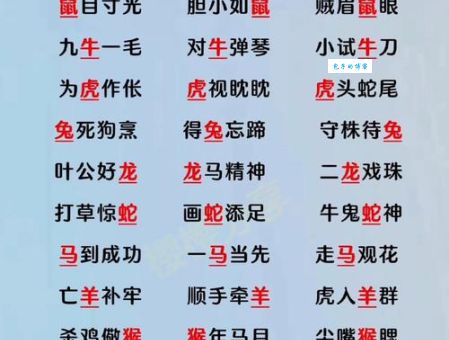 解密唯唯绸否：哪个生肖最符合这个成语？