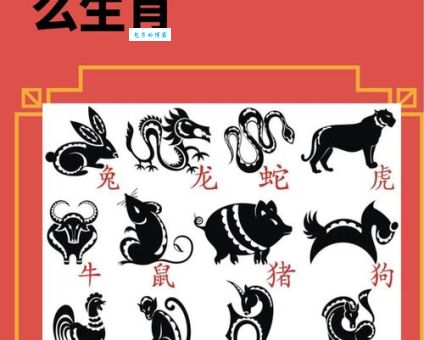 上梁不正下梁歪指什么生肖？十二生肖里哪些动物对应？