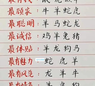 彻心彻骨打一生肖是什么动物？答案揭晓！