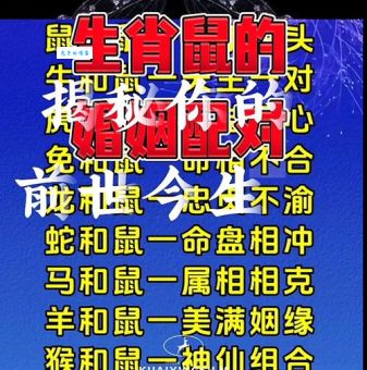 彻心彻骨打一生肖是什么动物？答案揭晓！