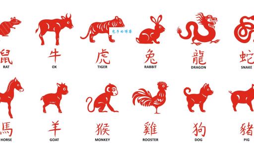 忆昔抚今代表什么生肖？看完你就懂了！