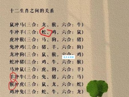 十二生肖中谁是分道扬镳？揭秘生肖运势秘密