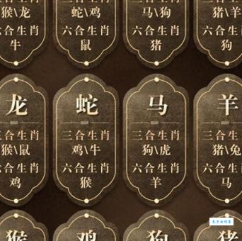 面黄肌瘦和生肖有关系吗？看看哪个生肖容易面黄肌瘦