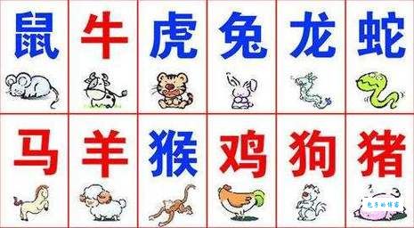家家鸡犬列桑麻，这个生肖你猜对了吗？