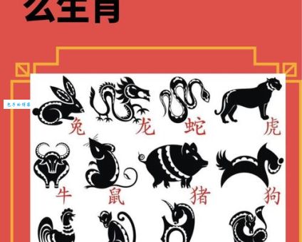十二生肖中，哪些生肖最容易白手起家？
