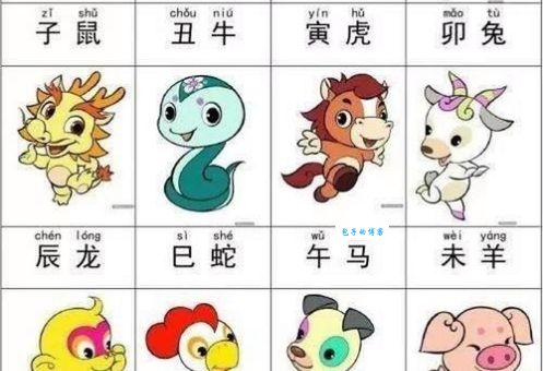 道道地地是什么生肖？不同说法大比拼！