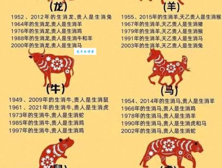 妙手回春是哪个生肖？详解十二生肖与医术的关系