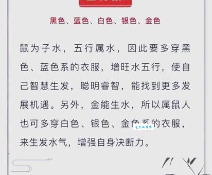 妙手回春是哪个生肖？详解十二生肖与医术的关系