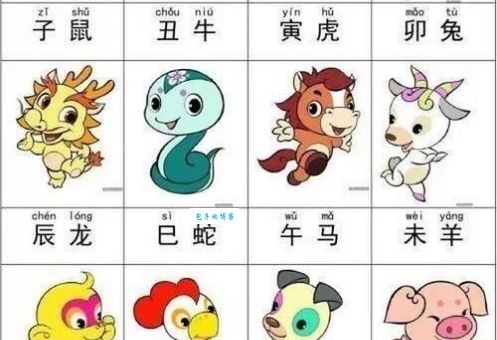 一母同生是兄弟，这些生肖都符合！你都知道吗？