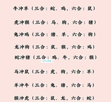 解密兴风作浪的生肖动物！看看是不是你猜的那个？