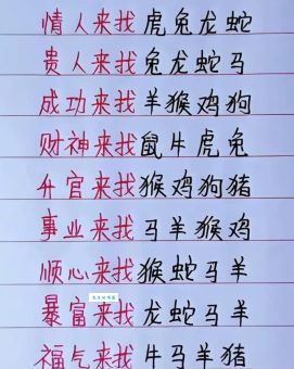 到底哪个生肖是五体投地？民间说法大揭秘