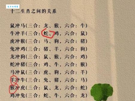 浪子回头代表什么生肖？多种解读，带你深入了解