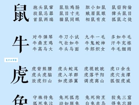 嫌肥挑瘦的生肖是哪个？趣味生肖知识