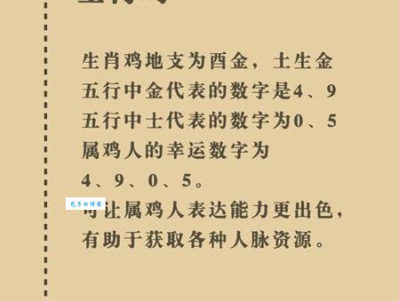 老态龙钟对应哪个生肖？揭秘正确答案！