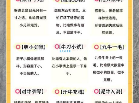 老态龙钟对应哪个生肖？揭秘正确答案！