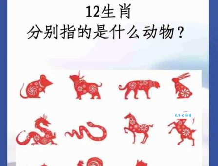 你知道飞禽走兽指什么生肖吗？十二生肖中与飞禽走兽相关的动物