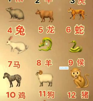 揭秘：悄无声息的动物生肖代表什么？