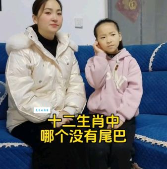 那些神秘消失的生肖：无影无踪的动物是谁？