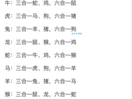 山穷水尽疑无路指什么生肖？答案揭晓！