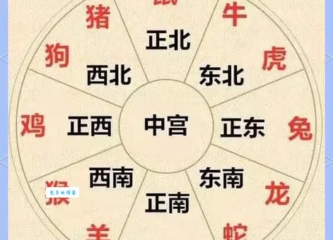 揭秘三从四德卦女样生肖，你猜对了吗？