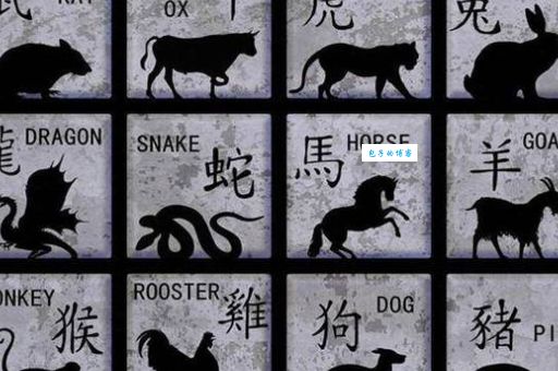 猜一生肖：水天一色，是龙还是其他生肖？