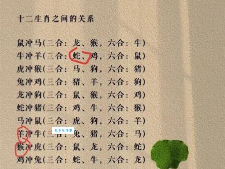 想知道一蹴而就对应哪个生肖？答案就在这里