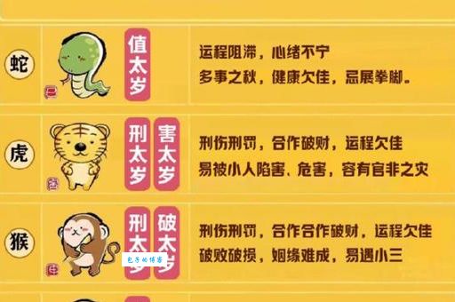 知人善任代表什么生肖？答案让你惊奇！