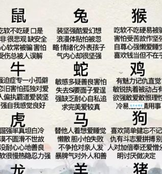 你知道关门打狗是什么生肖吗？揭晓隐藏的生肖秘密