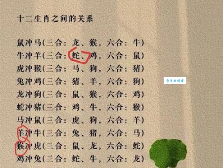 十二生肖中谁最符合六根清净？佛门与生肖的寓意
