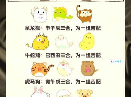 三头两尾却为奇，它是哪种生肖？快速解答！