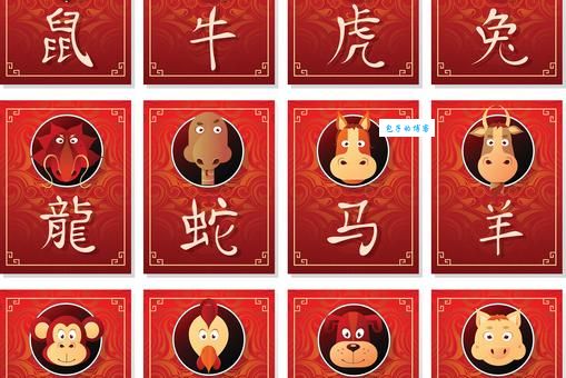 秋后算账指的是什么生肖？详解秋后算账生肖说法