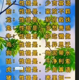 快刀斩乱麻对应哪个生肖？你猜对了吗？