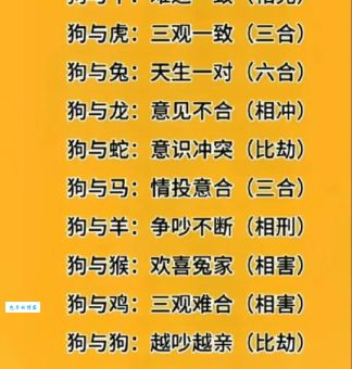 捉贼捉赃是什么生肖？老鼠猴子狗哪个更机灵？