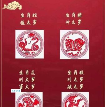 龙虎风云代表哪个生肖？你猜对了吗？