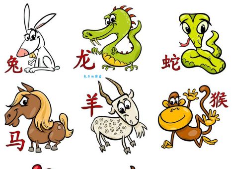地上走来水上游，是什么生肖？答案揭晓！