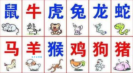 水火无情对应哪个生肖？速来猜猜看！