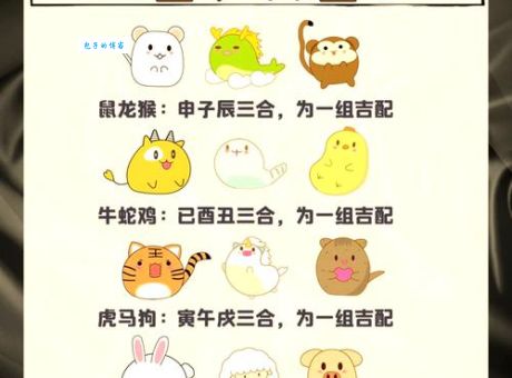 揭秘：捉贼见赃究竟是十二生肖中的哪一个？