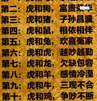 两虎相争，必有一伤，指的是什么生肖？