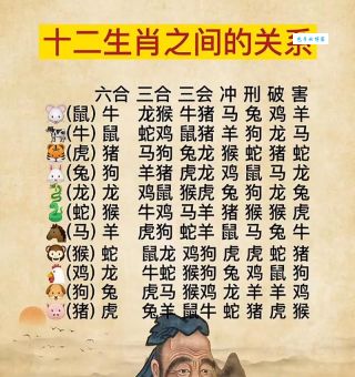 忠厚温驯的生肖是哪几个？深度解析生肖性格