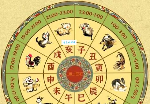 仰面朝天对应哪个生肖？深度解析生肖文化