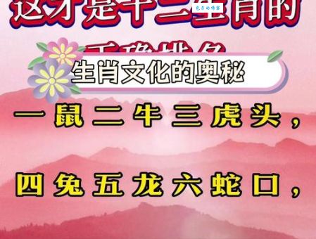 仰面朝天对应哪个生肖？深度解析生肖文化