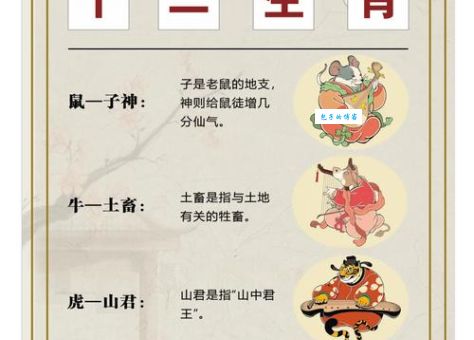 十二生肖中谁膀大腰圆？答案可能让你意外！