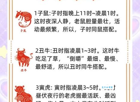 一步登天指的是什么生肖？带你了解背后的故事