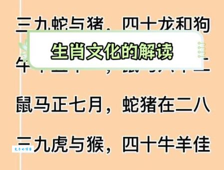 孤苦伶仃对应哪个生肖？权威解析，不容错过！