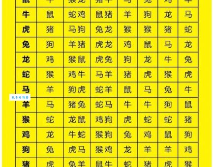 孤苦伶仃对应哪个生肖？权威解析，不容错过！