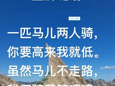 水天一色打一生肖谜语：答案揭晓，究竟是哪种动物？