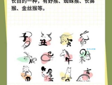 前仰后合打一准确生肖是什么动物？答案揭晓！